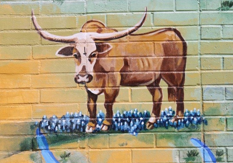 Site Image highlight local art: Bevo longhorn graffiti.